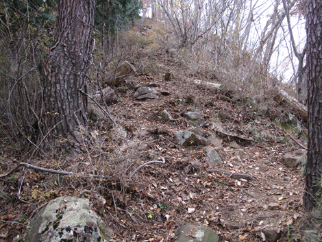 20181126hike (246)